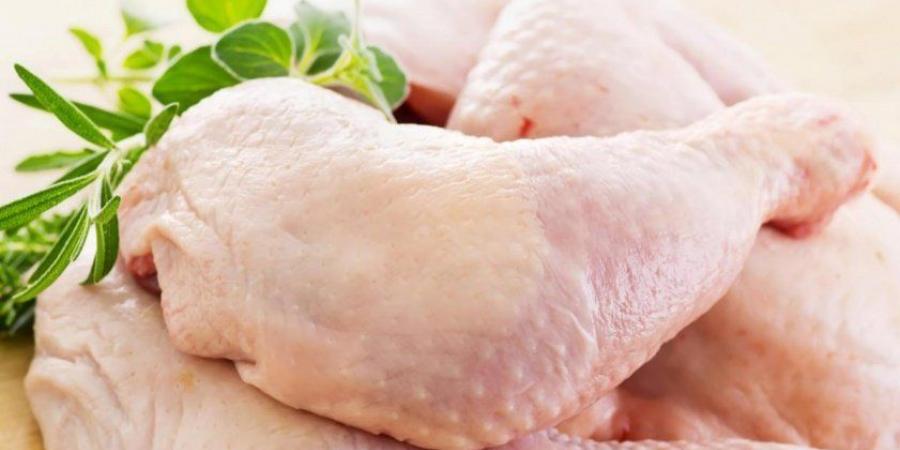 شعبة الدواجن: تخفيضات 30% على أسعار الدجاج في معارض أهلا رمضان