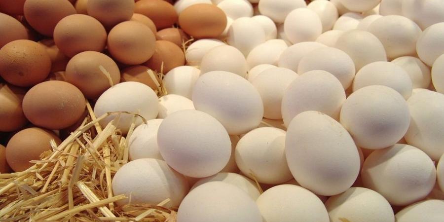ارتفاع أسعار البيض في الأسواق