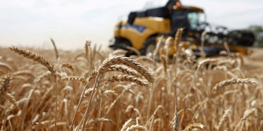 غرفة صناعة الحبوب ترد: هل يؤثر الانسحاب من اتفاقية الحبوب الأممية على مصر؟