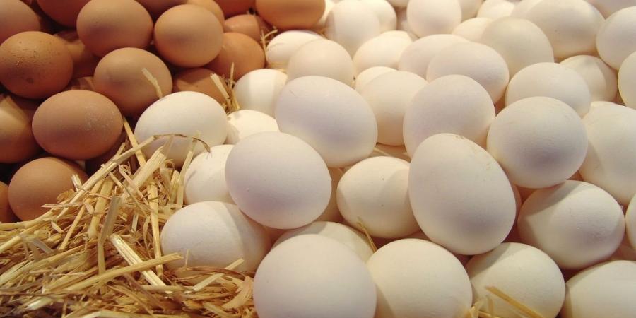 تراجع جديد لأسعار البيض في الأسواق