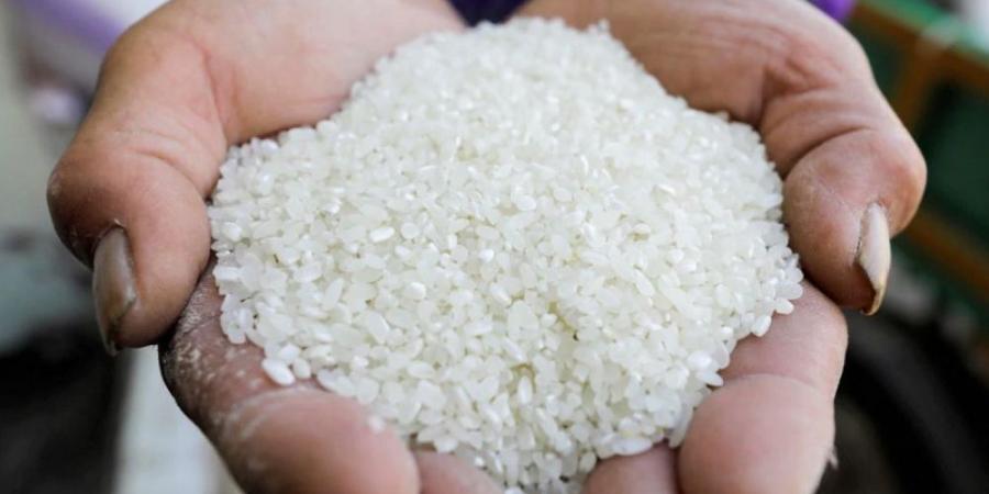 اتحاد الصناعات يوجه رسالة طمأنة بشأن أسعار الأرز